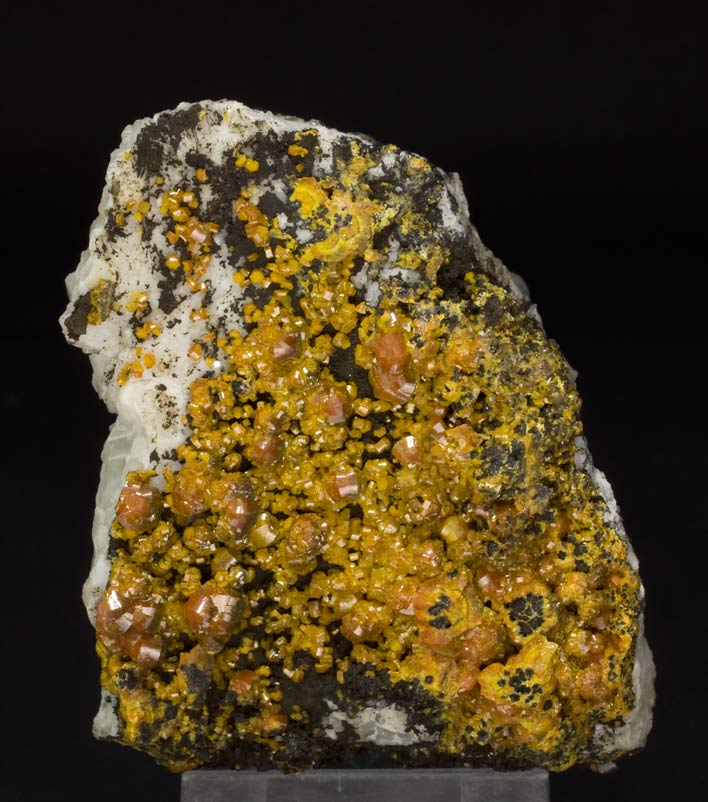 specimens/s_imagesT1/Mimetite_Campylite-NB97T1f.jpg