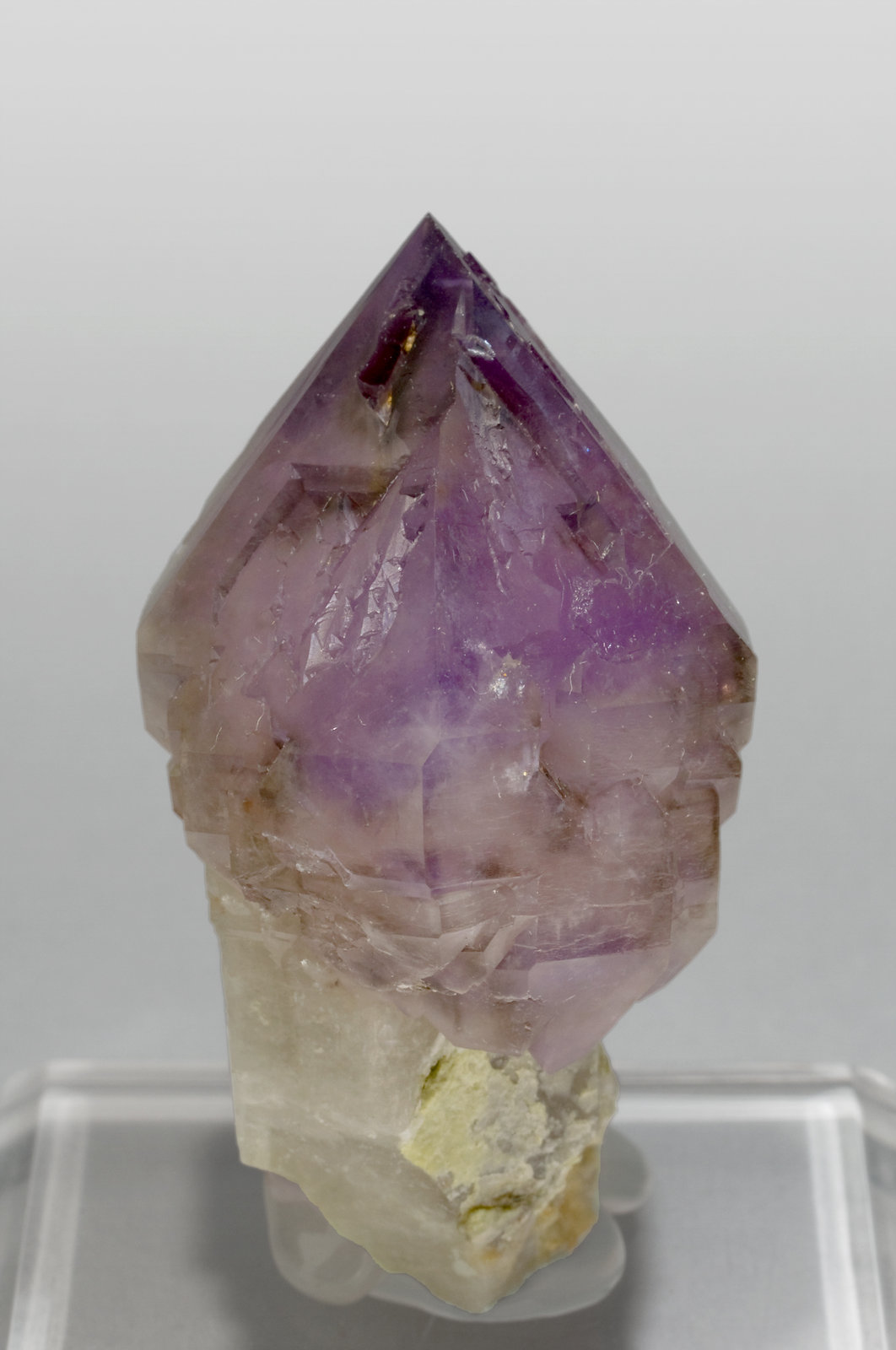 specimens/s_imagesT1/Quartz_Amethyst-NM96T1f.jpg