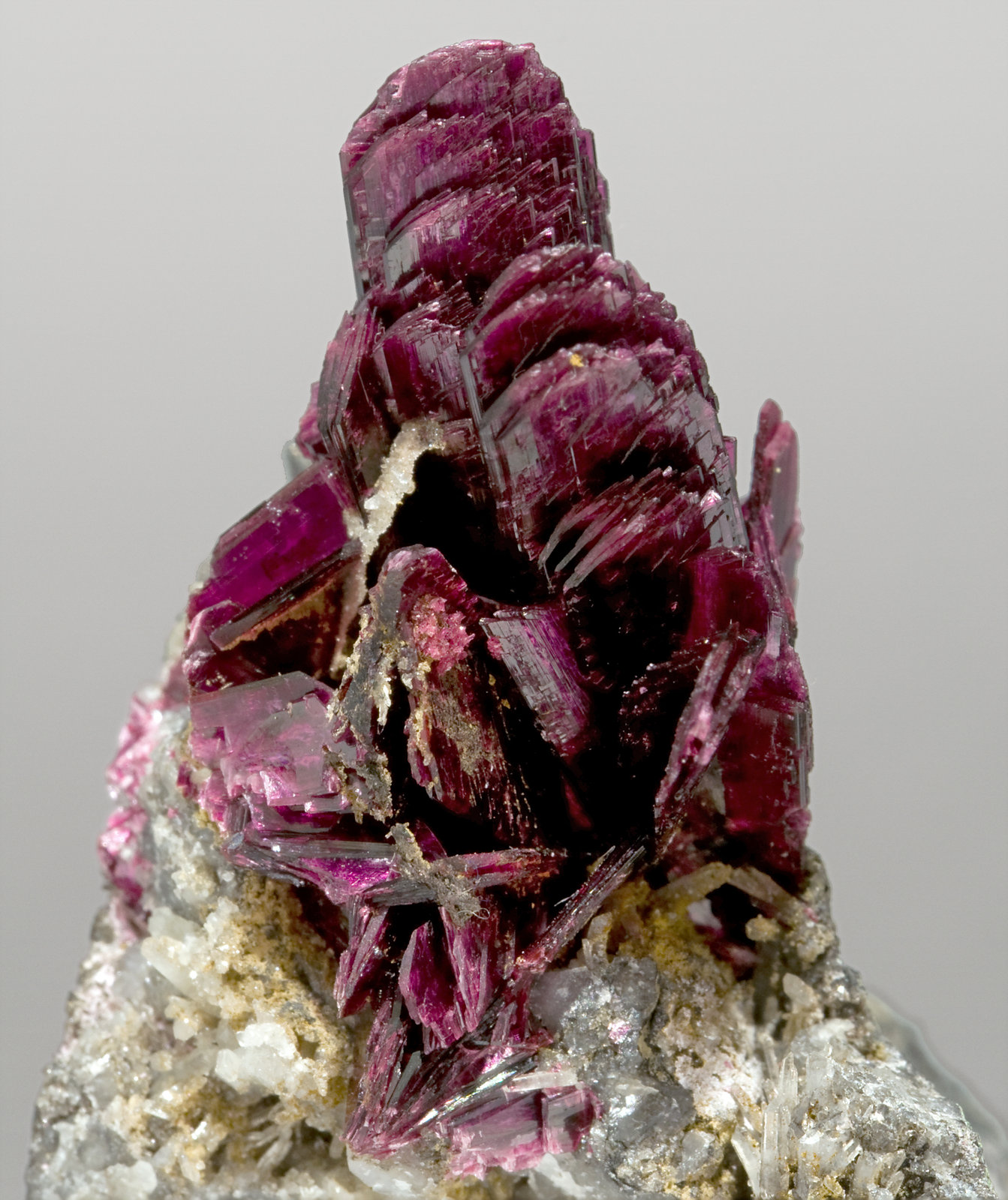 specimens/s_imagesT3/Erythrite-EX47T3d.jpg