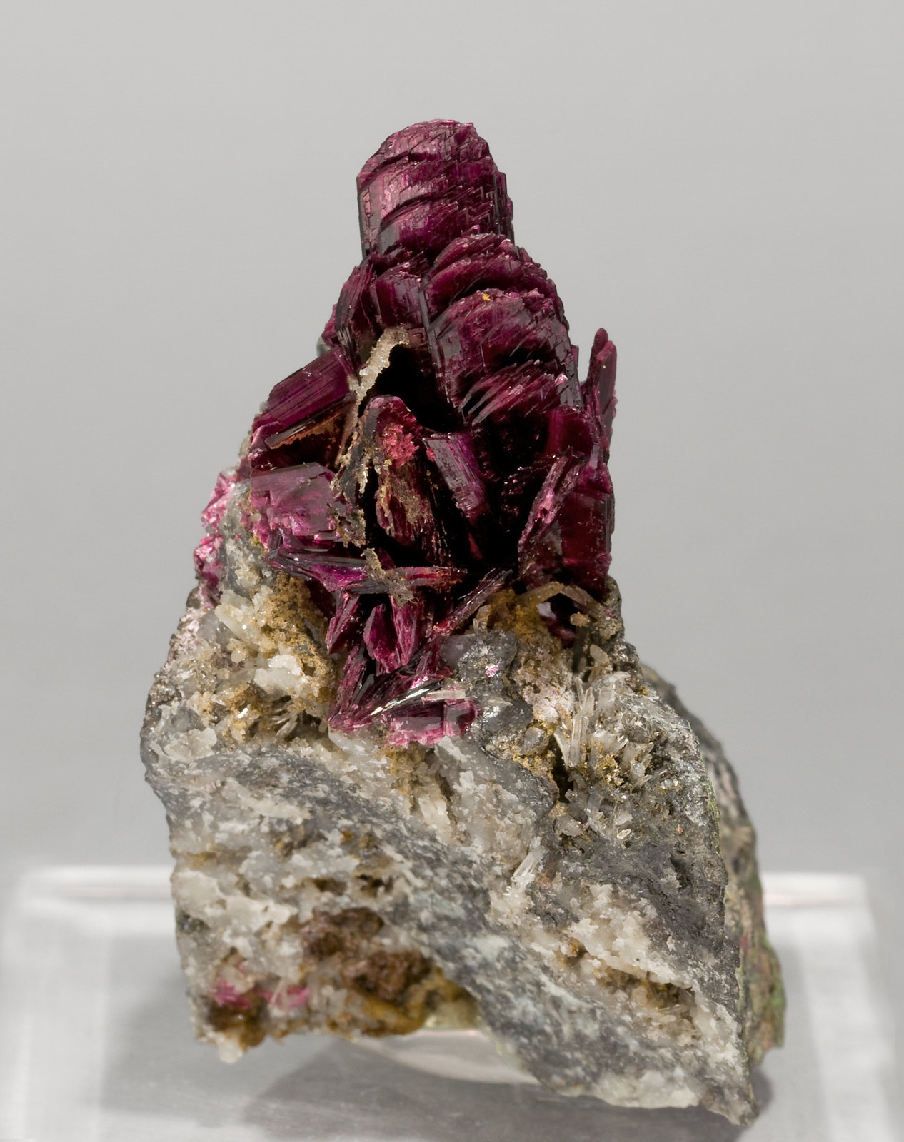 specimens/s_imagesT3/Erythrite-EX47T3f.jpg