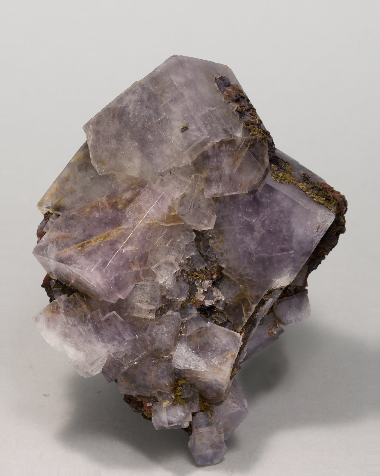 specimens/s_imagesT3/Fluorite-FA11T3.jpg