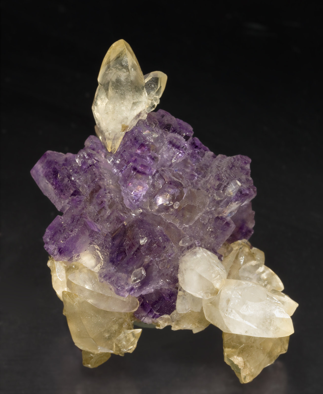 specimens/s_imagesT3/Fluorite-FJ13T3.jpg