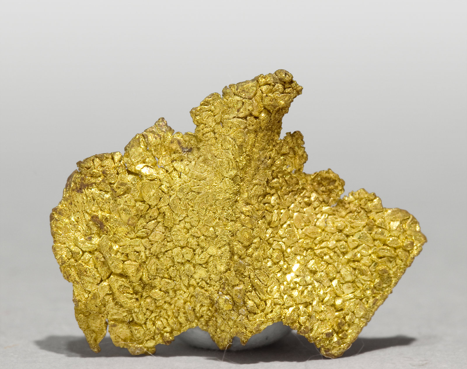 specimens/s_imagesT3/Gold-TD89T3f.jpg