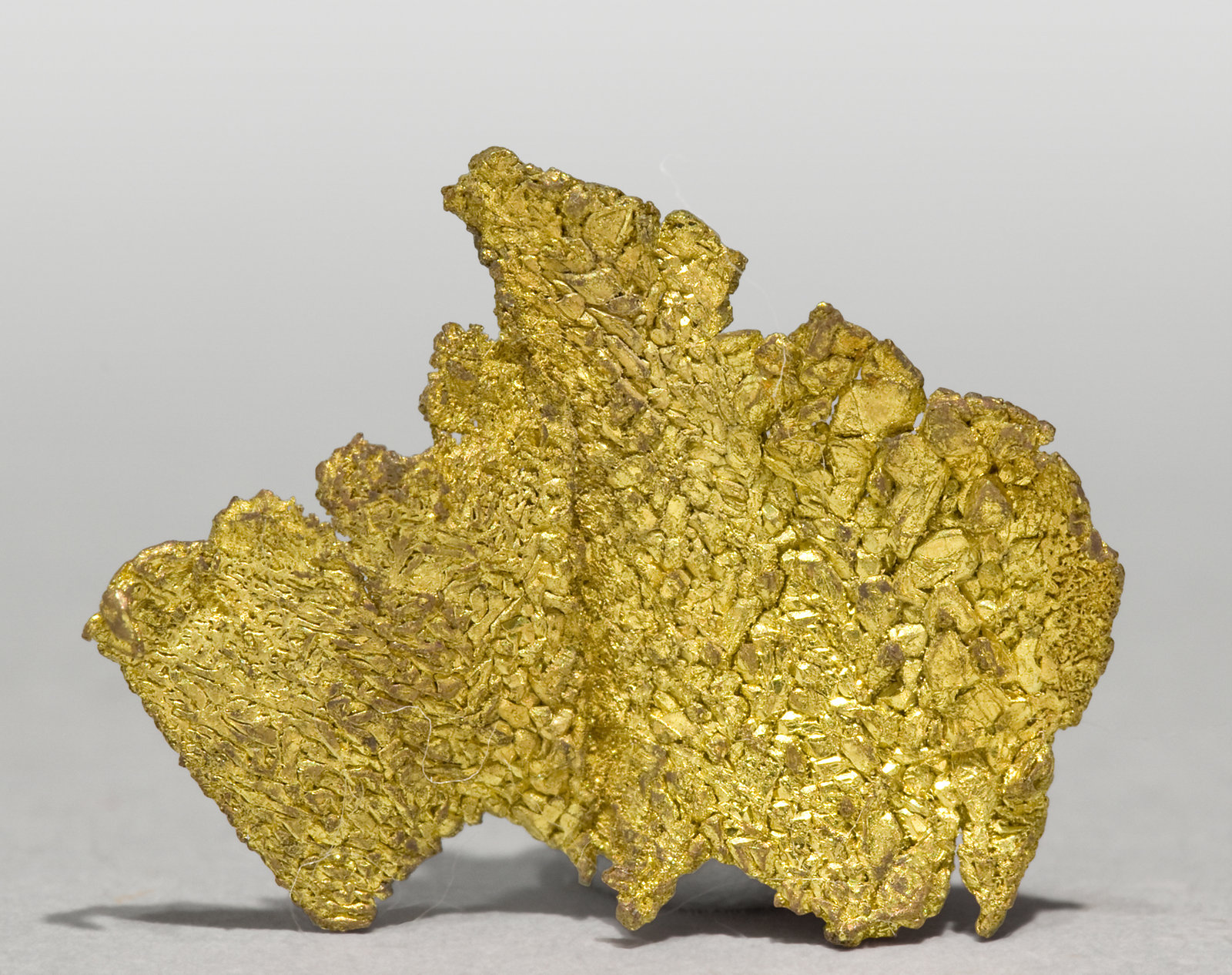 specimens/s_imagesT3/Gold-TD89T3r.jpg