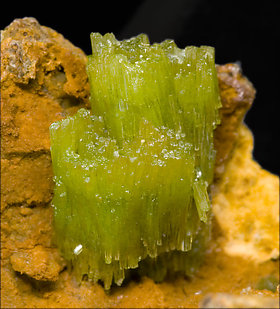 Pyromorphite. 