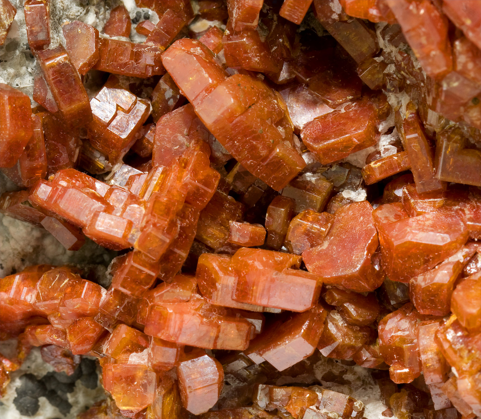 specimens/s_imagesT3/Vanadinite-TF99T3d.jpg