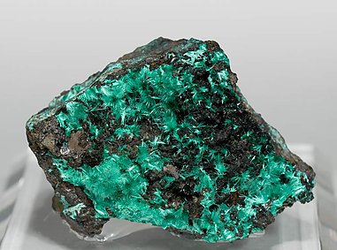 Brochantite.