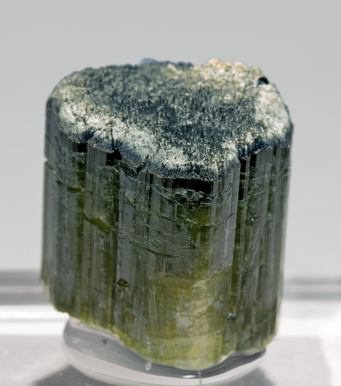 specimens/s_imagesT4/Elbaite-ER11T4s.jpg