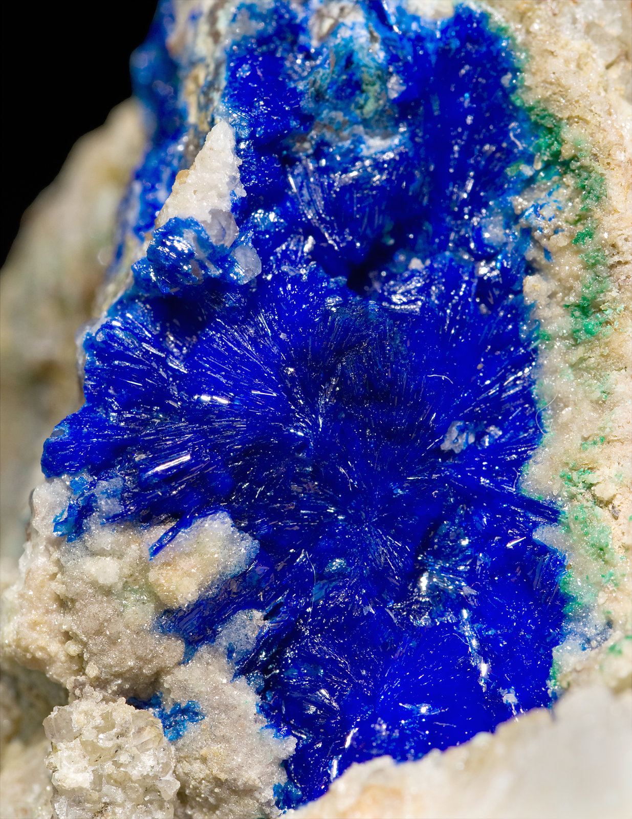 specimens/s_imagesT4/Linarite-EG49T4d.jpg