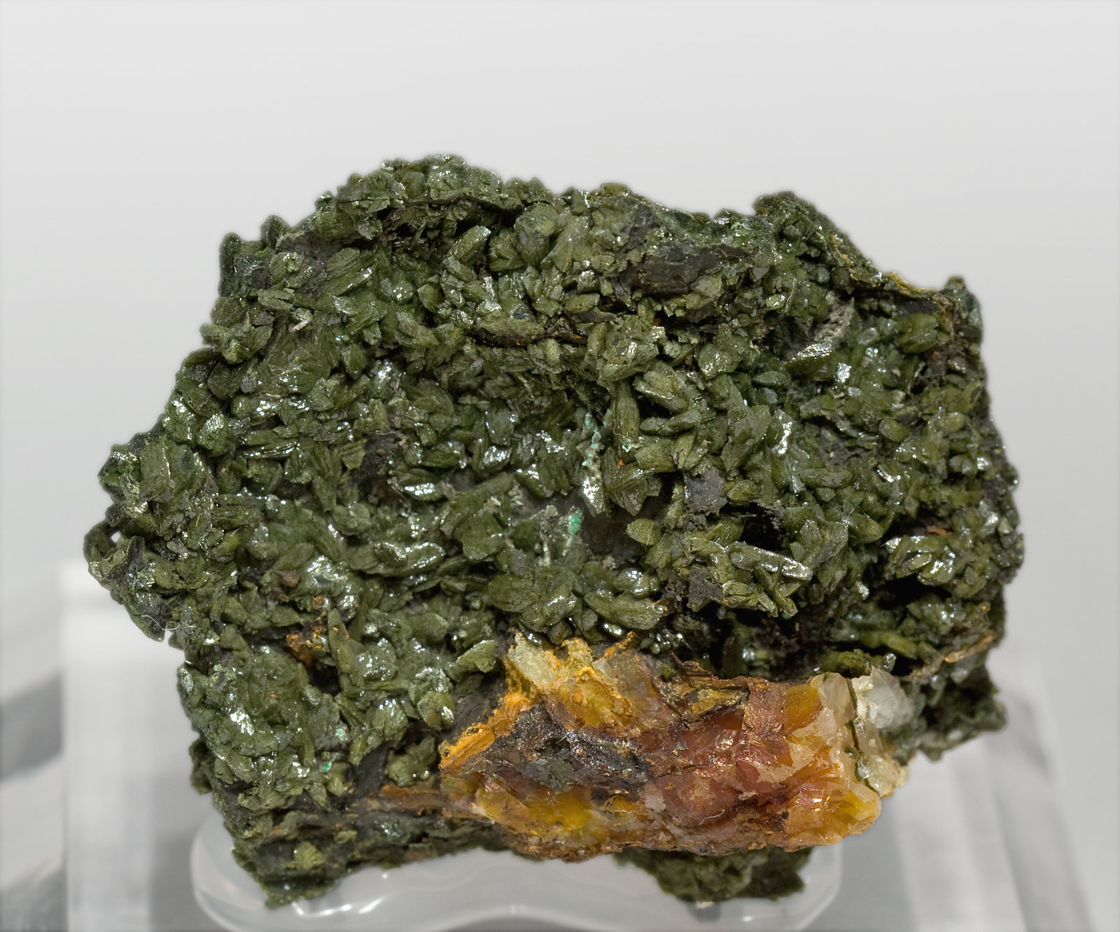 specimens/s_imagesT4/Olivenite-EJ36T4f.jpg