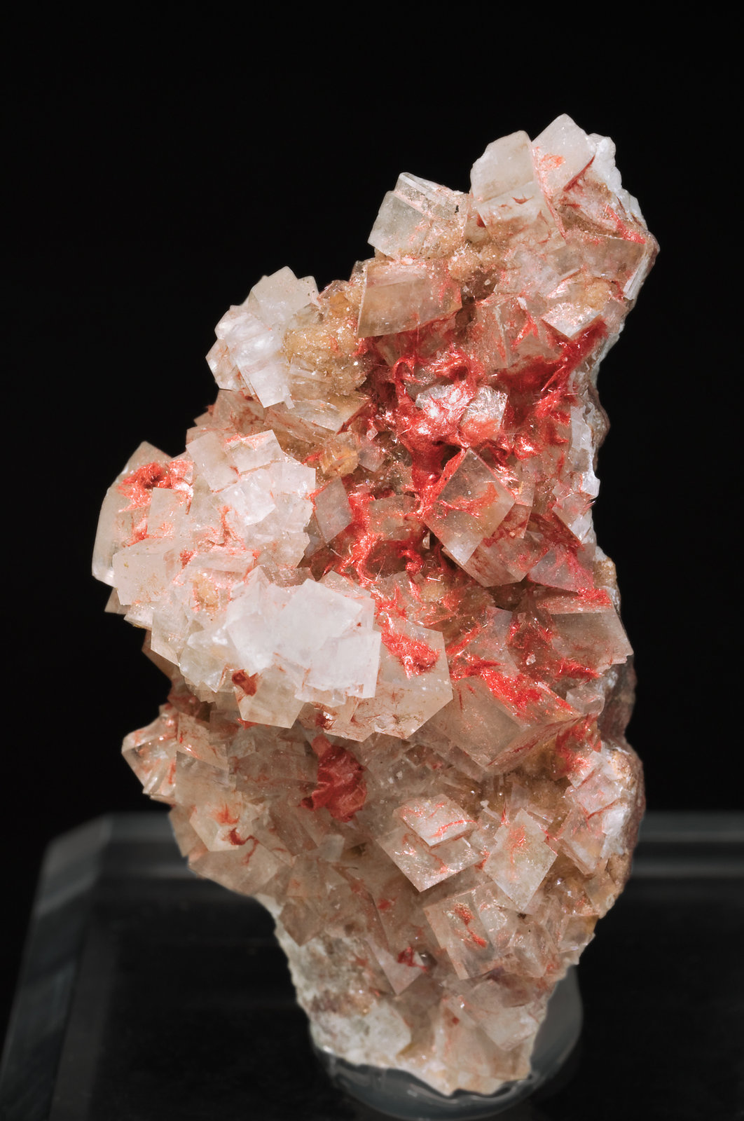 specimens/s_imagesT5/Calcite-RP12T5f.jpg