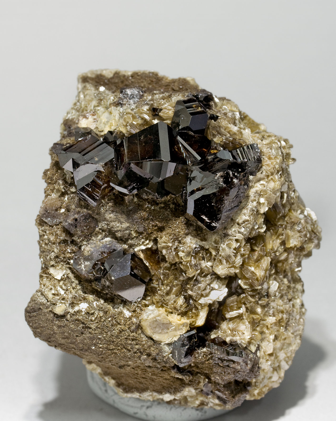 specimens/s_imagesT5/Cassiterite-RK27T5f.jpg