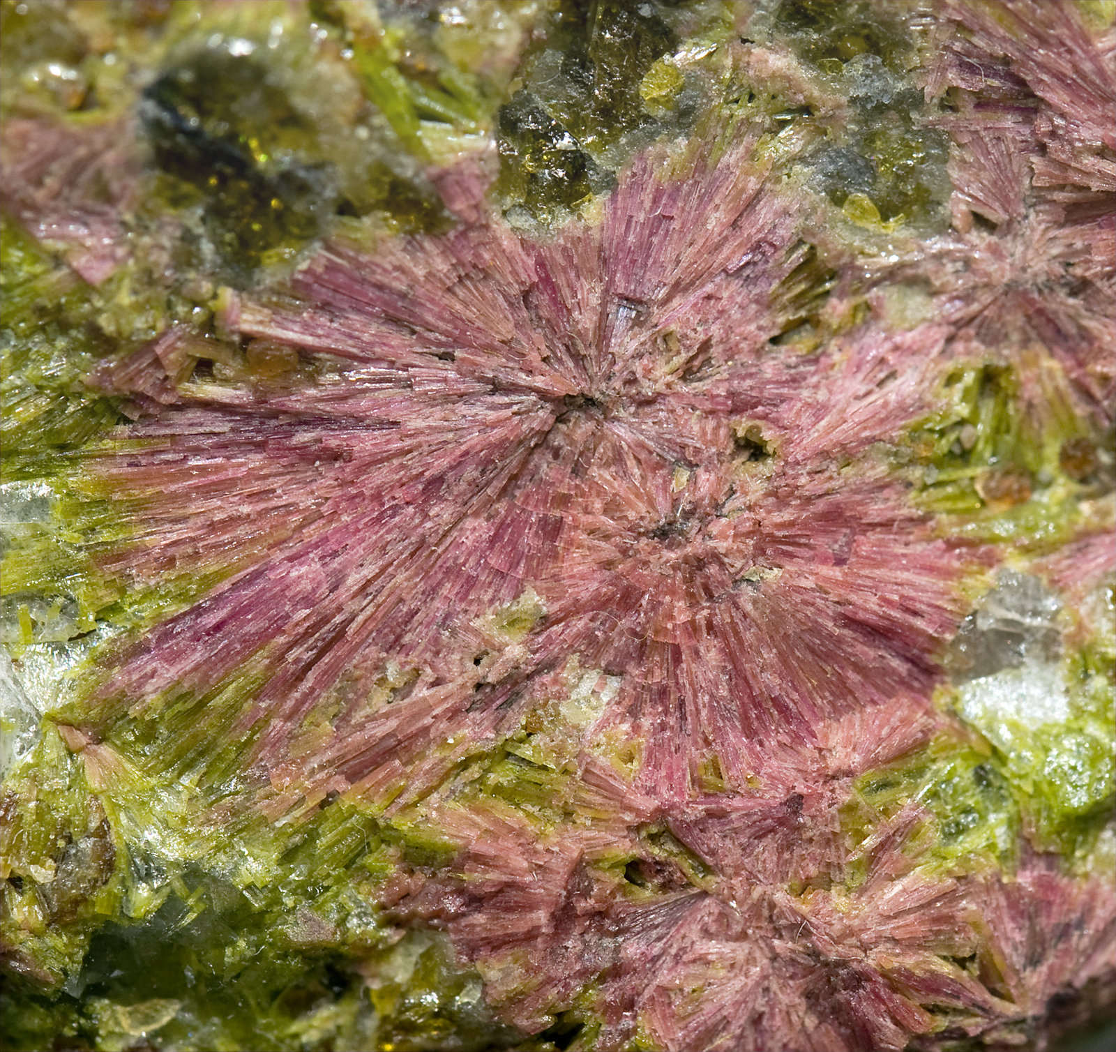 specimens/s_imagesT5/Clinozoisite-RF6T5d.jpg