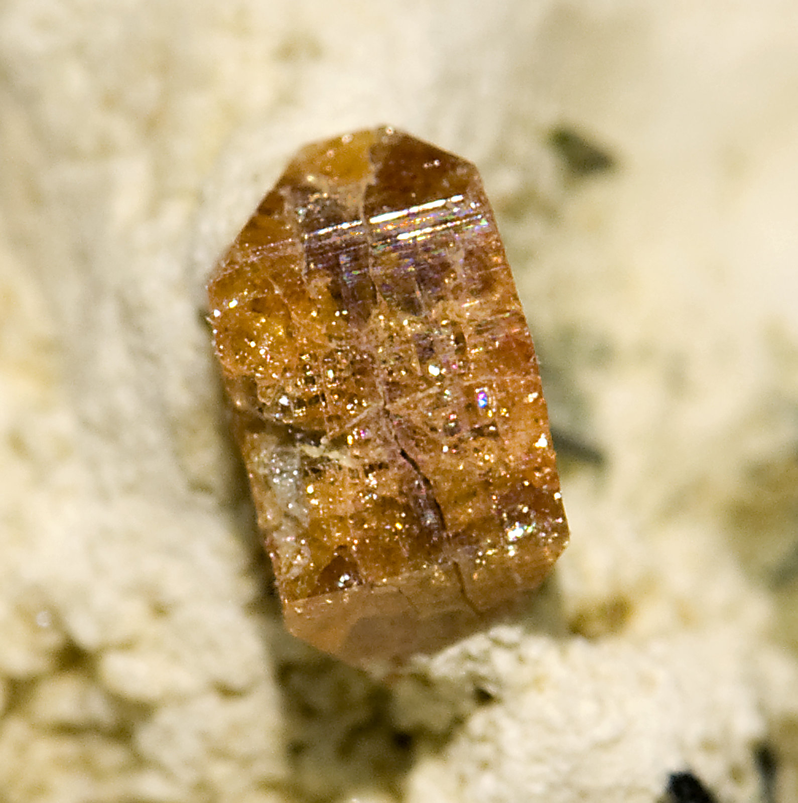 specimens/s_imagesT6/Arfvedsonite-MR14T6d.jpg