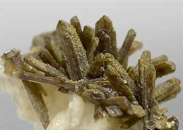 Childrenite with Roscherite, Quartz and Albite. 