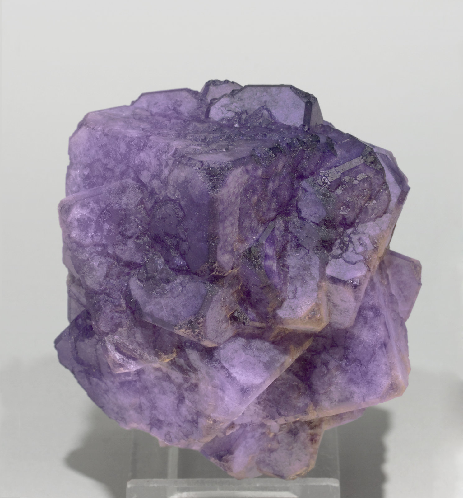 specimens/s_imagesT6/Fluorite-MB7T6.jpg