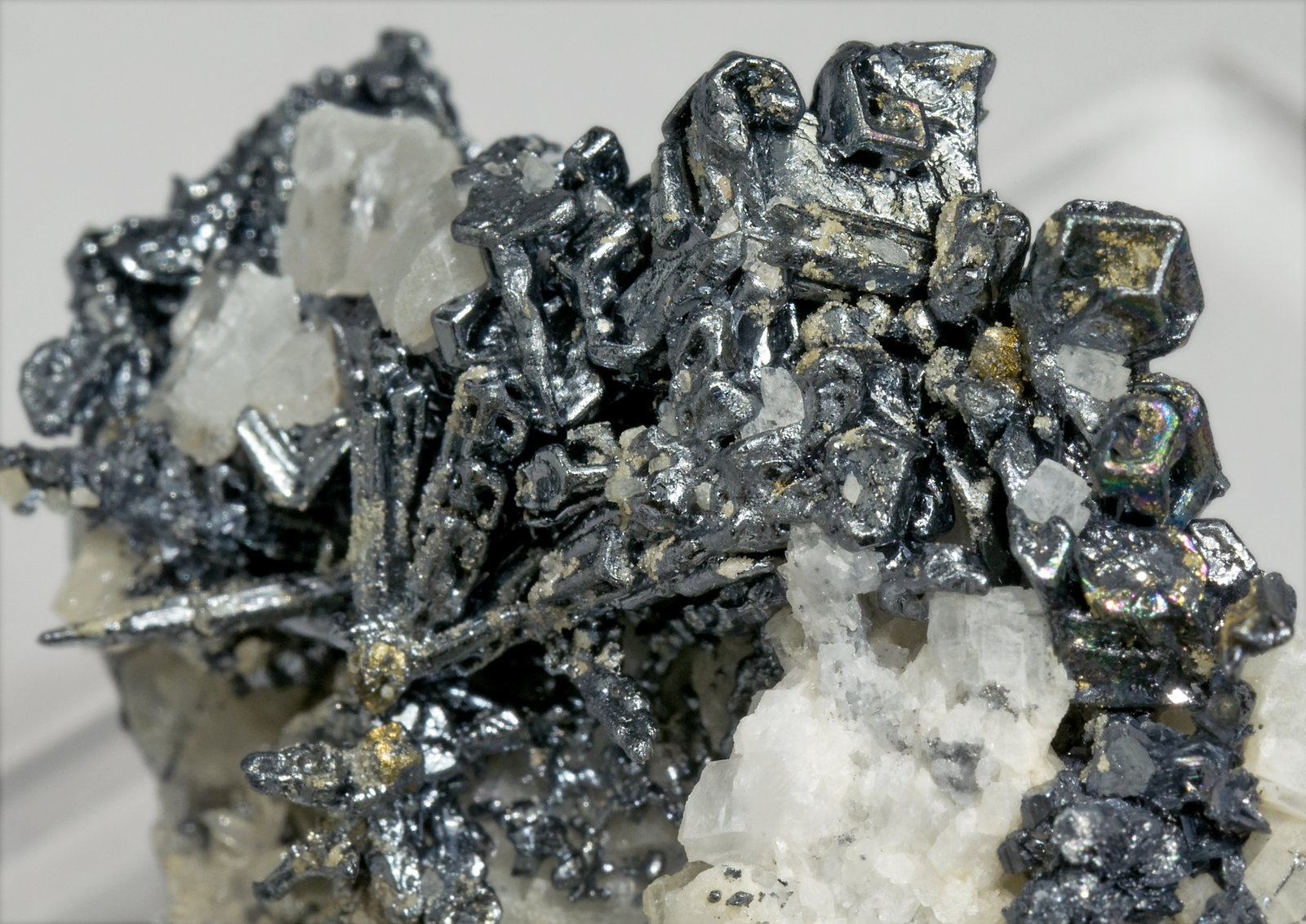 specimens/s_imagesT7/Acanthite-AP50T7d1.jpg