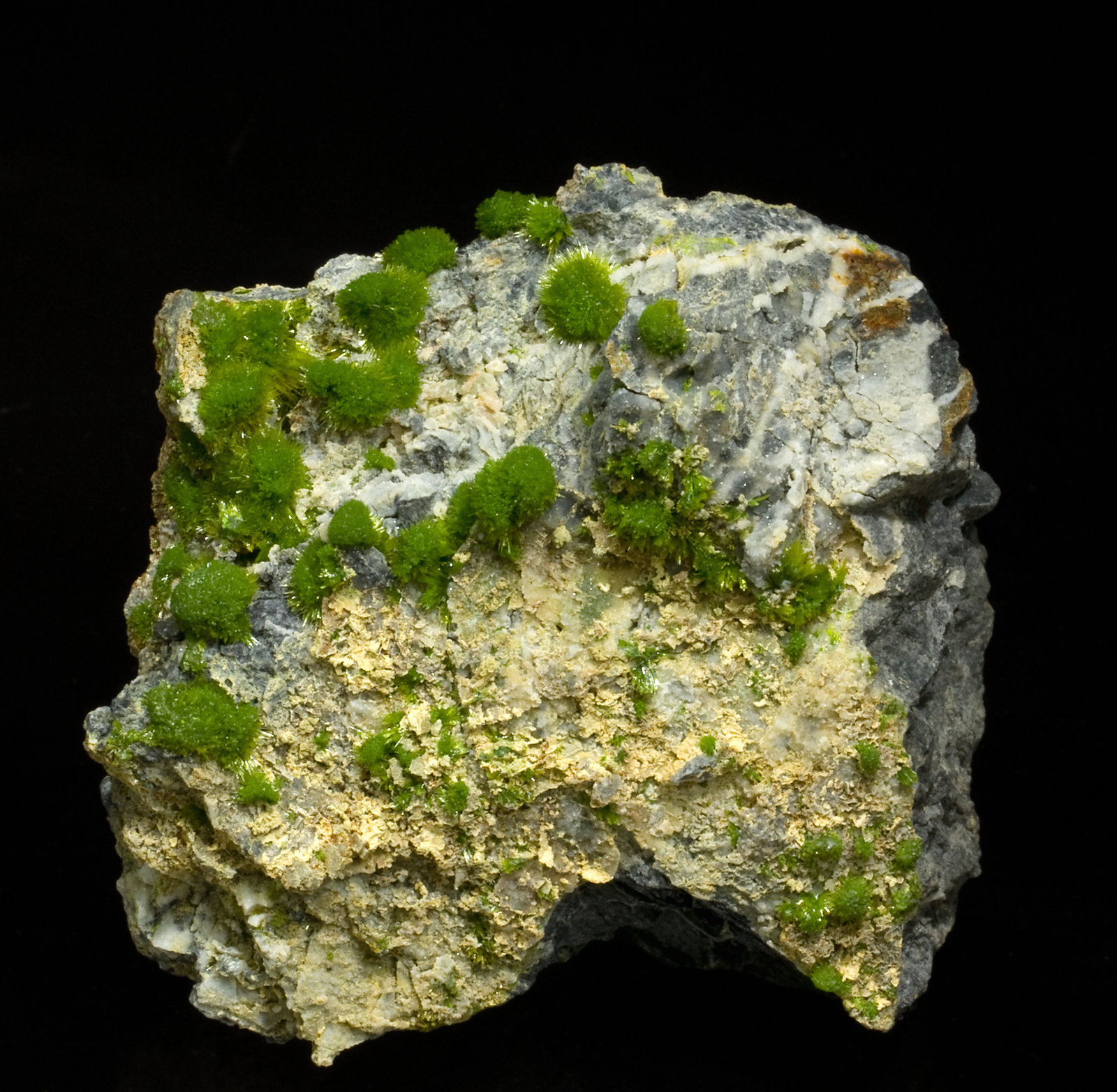 specimens/s_imagesT7/Pyromorphite-EG48T7f.jpg