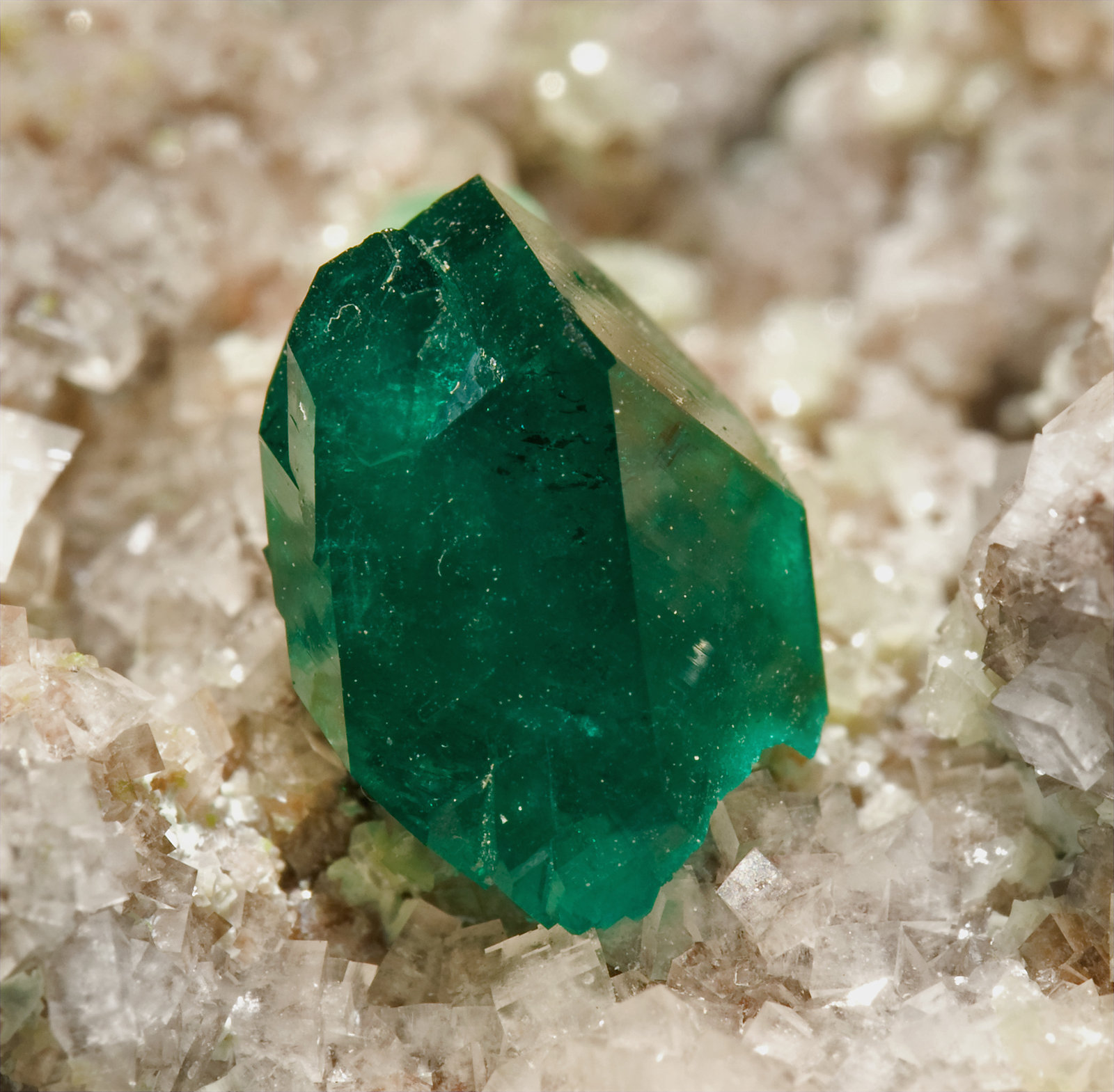 specimens/s_imagesT8/Dioptase-MY27T8d2.jpg