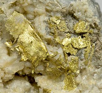 Gold with Quartz. 