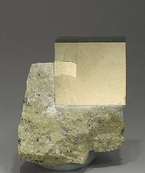 Pyrite. Front