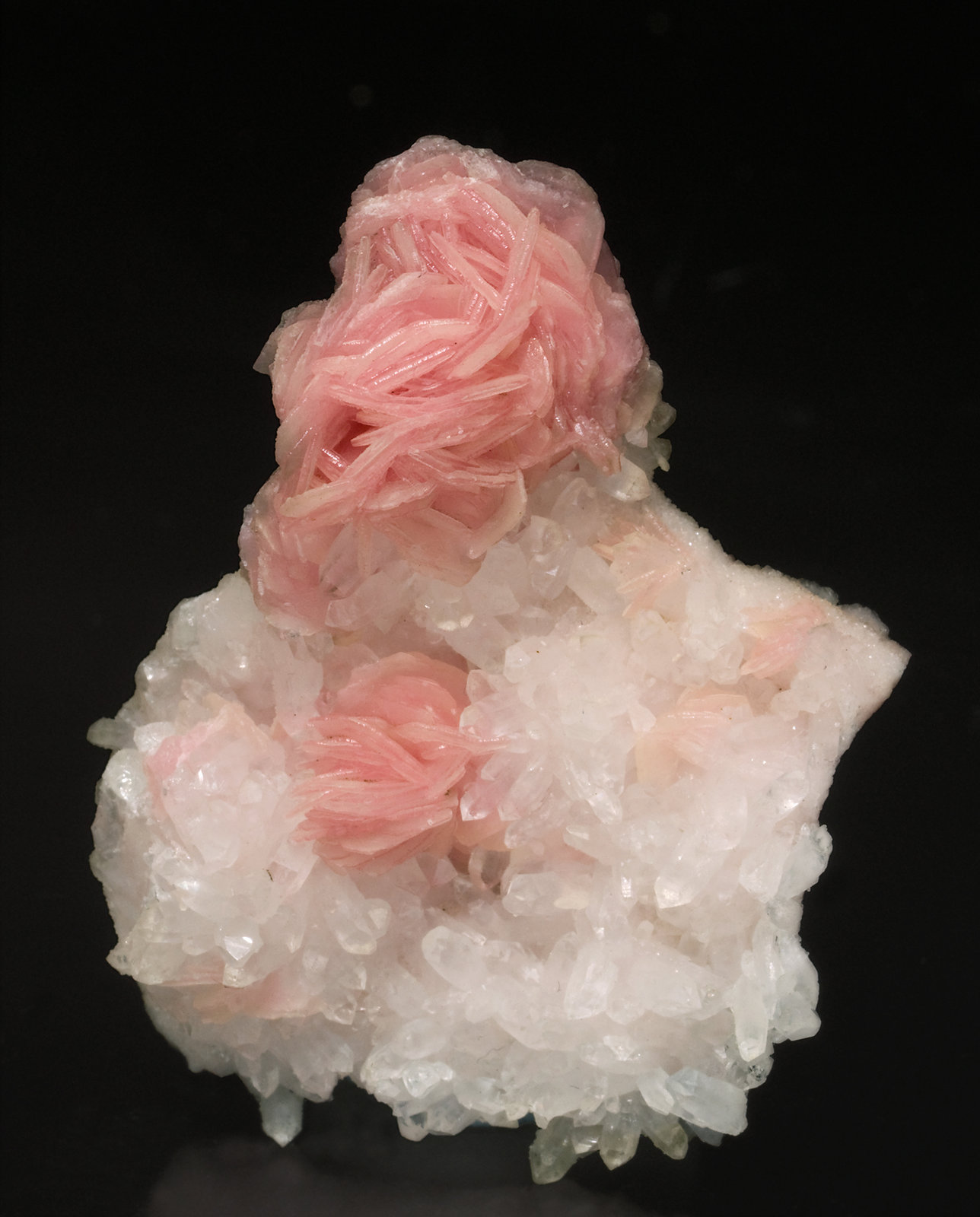 specimens/s_imagesT8/Rhodochrosite-EC96T8f.jpg