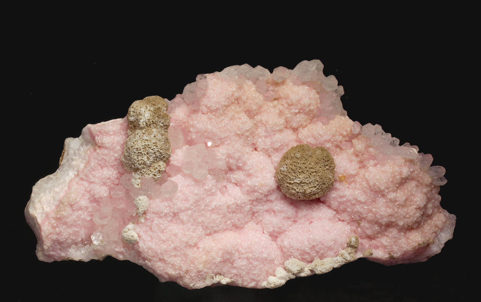 specimens/s_imagesT8/Rhodochrosite-ED27T8f.jpg