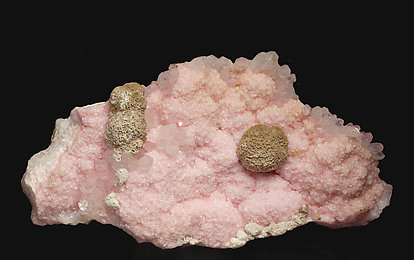 Rhodochrosite with Siderite and Quartz. 