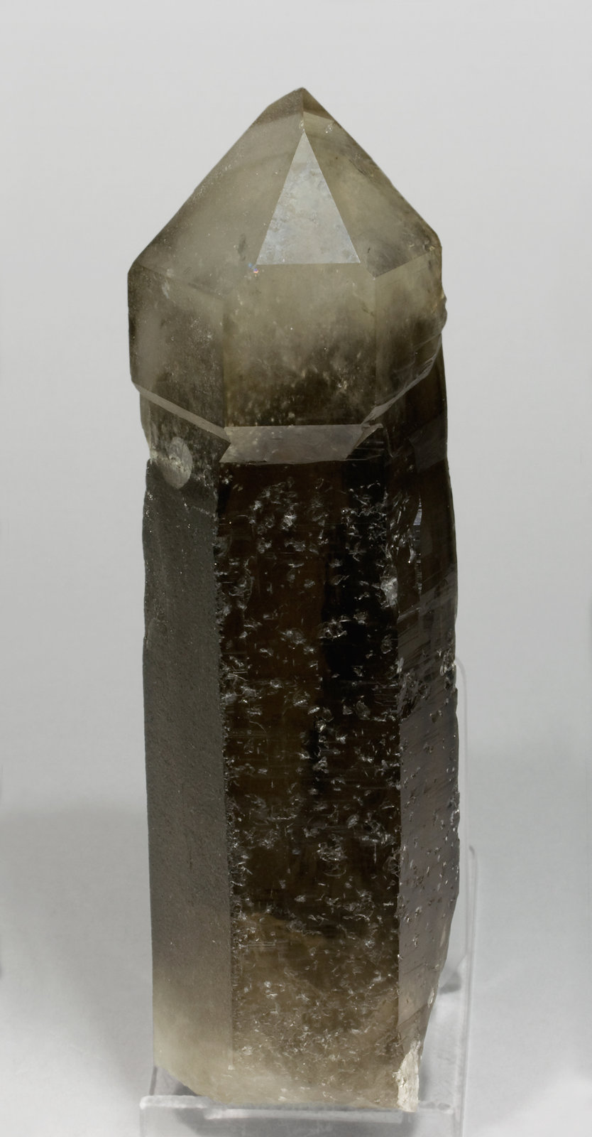 specimens/s_imagesT8/Smoky_Quartz-TA96T8f.jpg