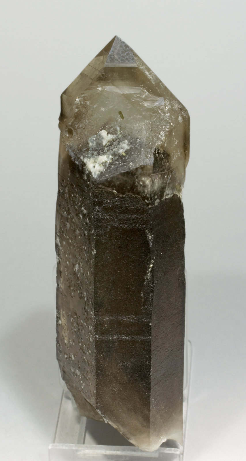 specimens/s_imagesT8/Smoky_Quartz-TA96T8r.jpg