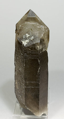 Sceptered smoky Quartz. Rear