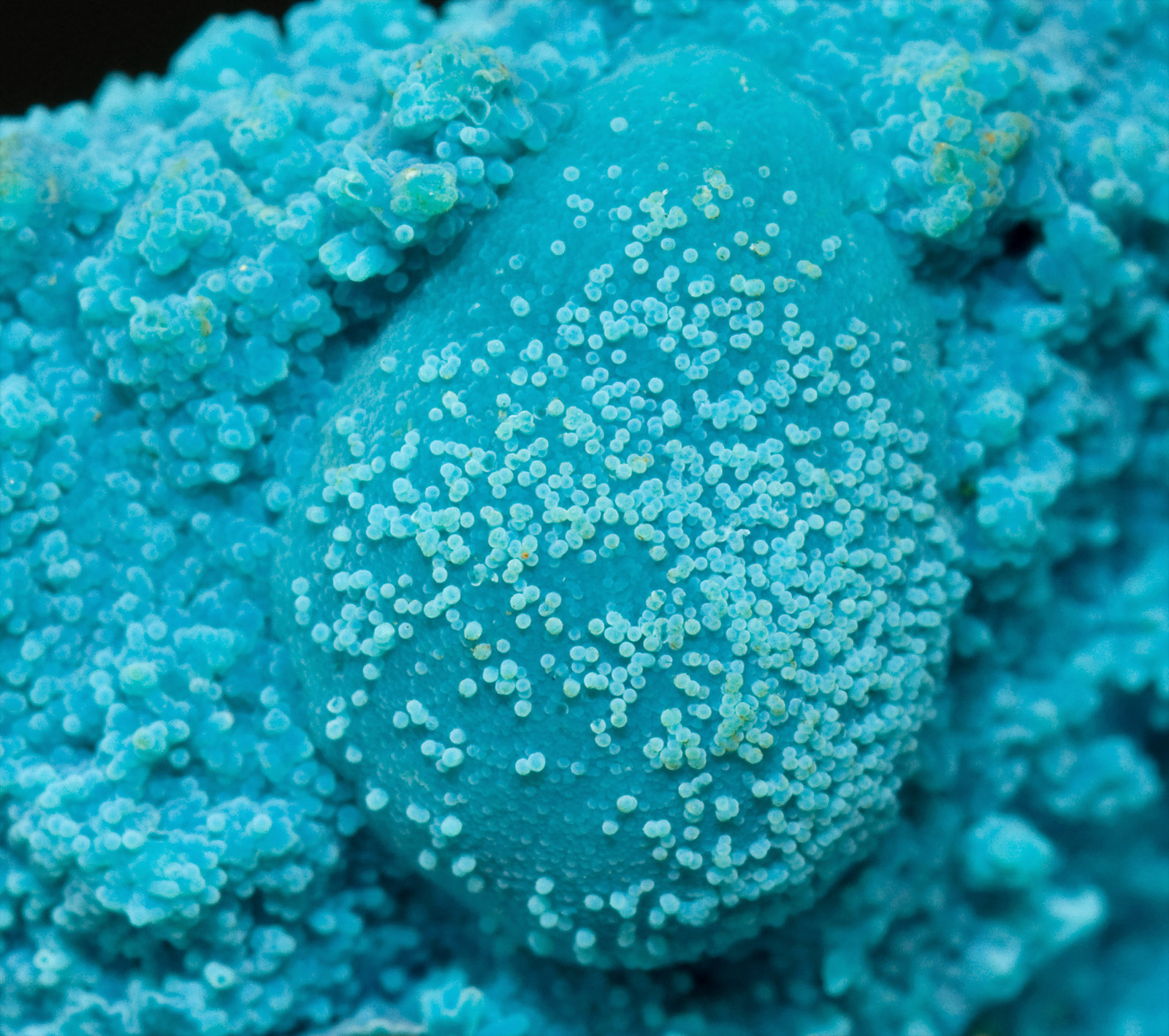 specimens/s_imagesT9/Chrysocolla-NH62T9d.jpg