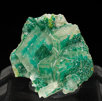 Calcite with Dioptase.