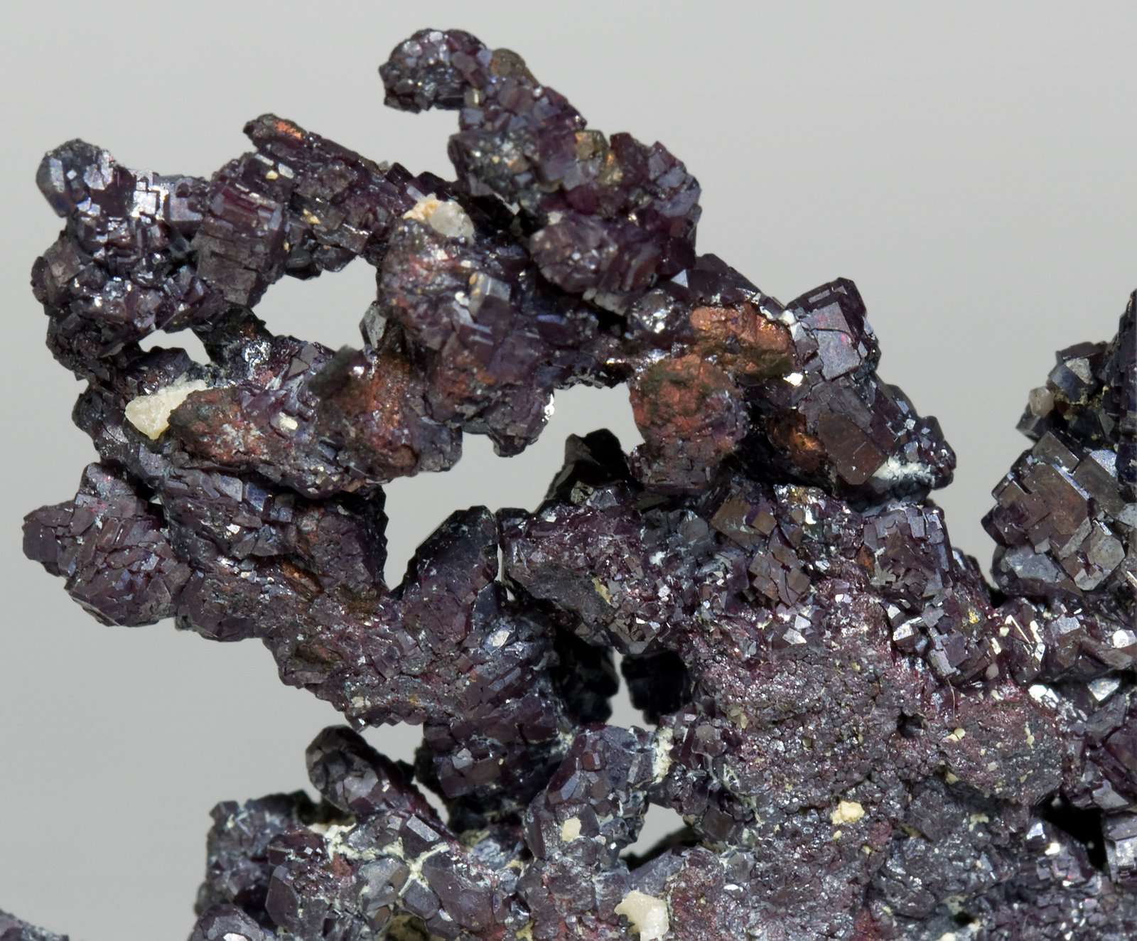 specimens/s_imagesV0/Cuprite-RD96V0d.jpg