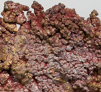 Cuprite (variety chalcotrichite) with Copper. 