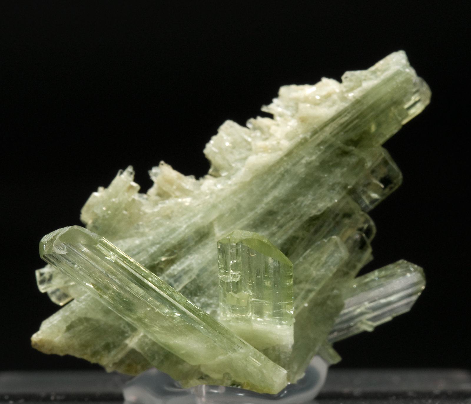 specimens/s_imagesV0/Diopside-MF46V0f.jpg