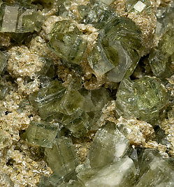 Fluorapatite with Muscovite and Arsenopyrite. 