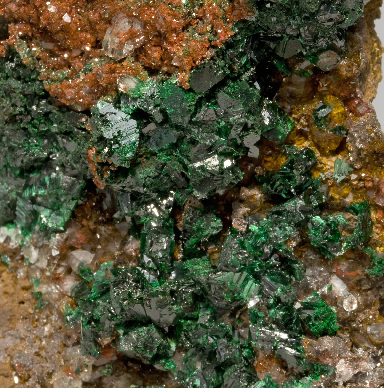 specimens/s_imagesV0/Malachite-RG14V0d.jpg