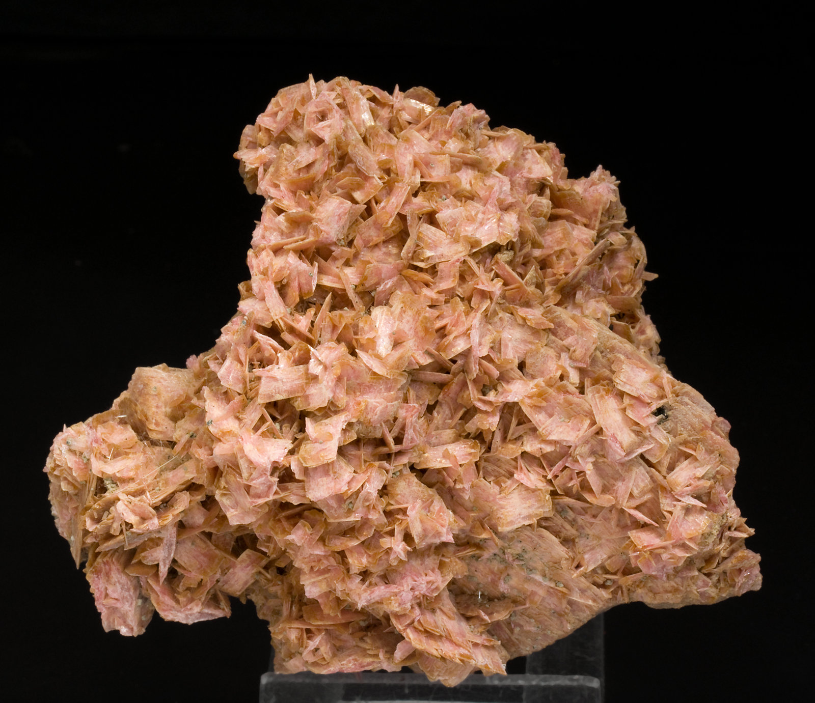 specimens/s_imagesV0/Rhodonite-EX17V0f.jpg