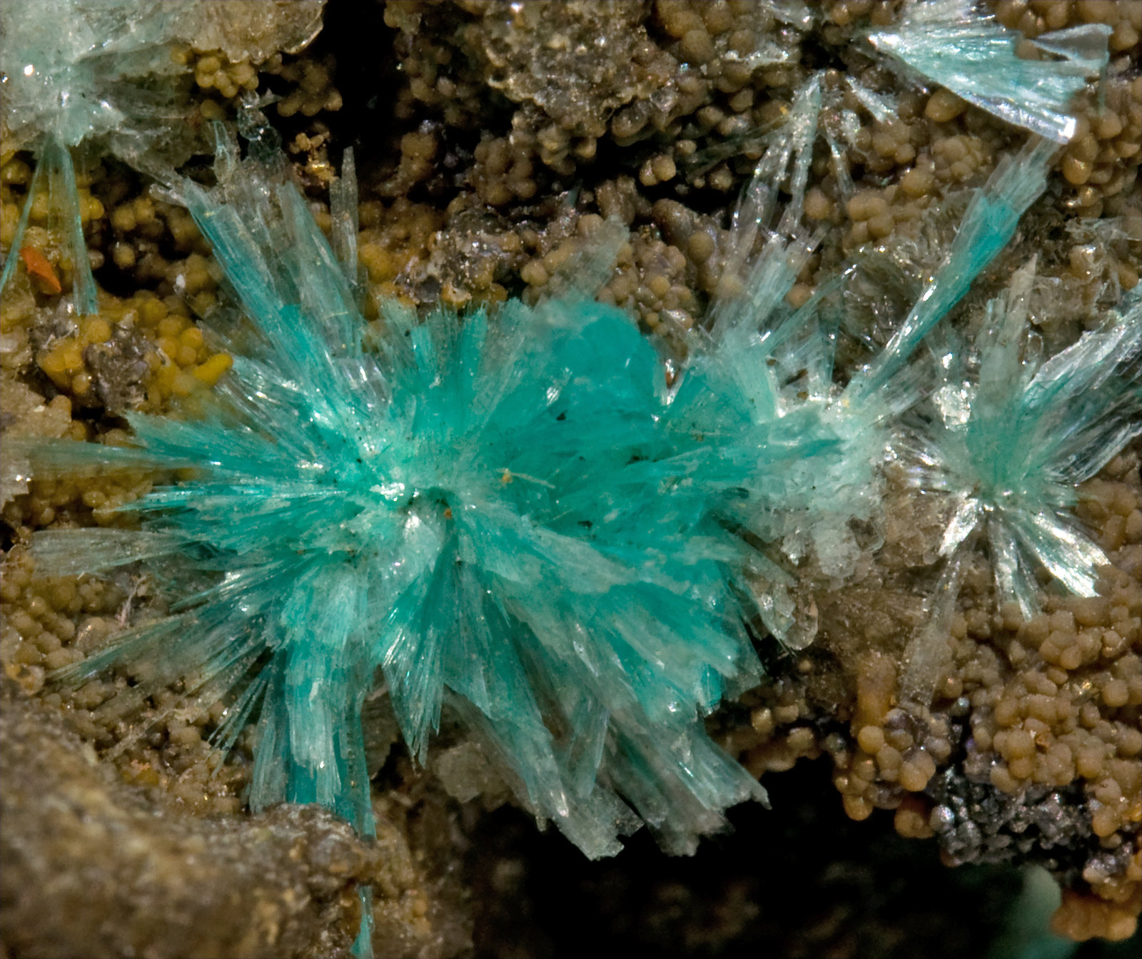 specimens/s_imagesV1/Aurichalcite-EM96V1d2.jpg