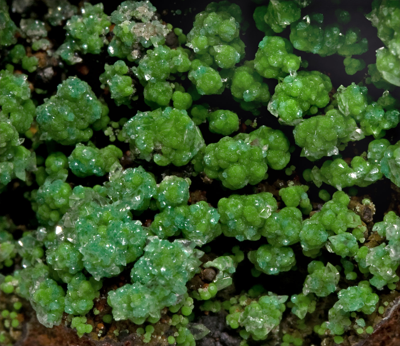 specimens/s_imagesV1/Conichalcite-EV67V1d.jpg