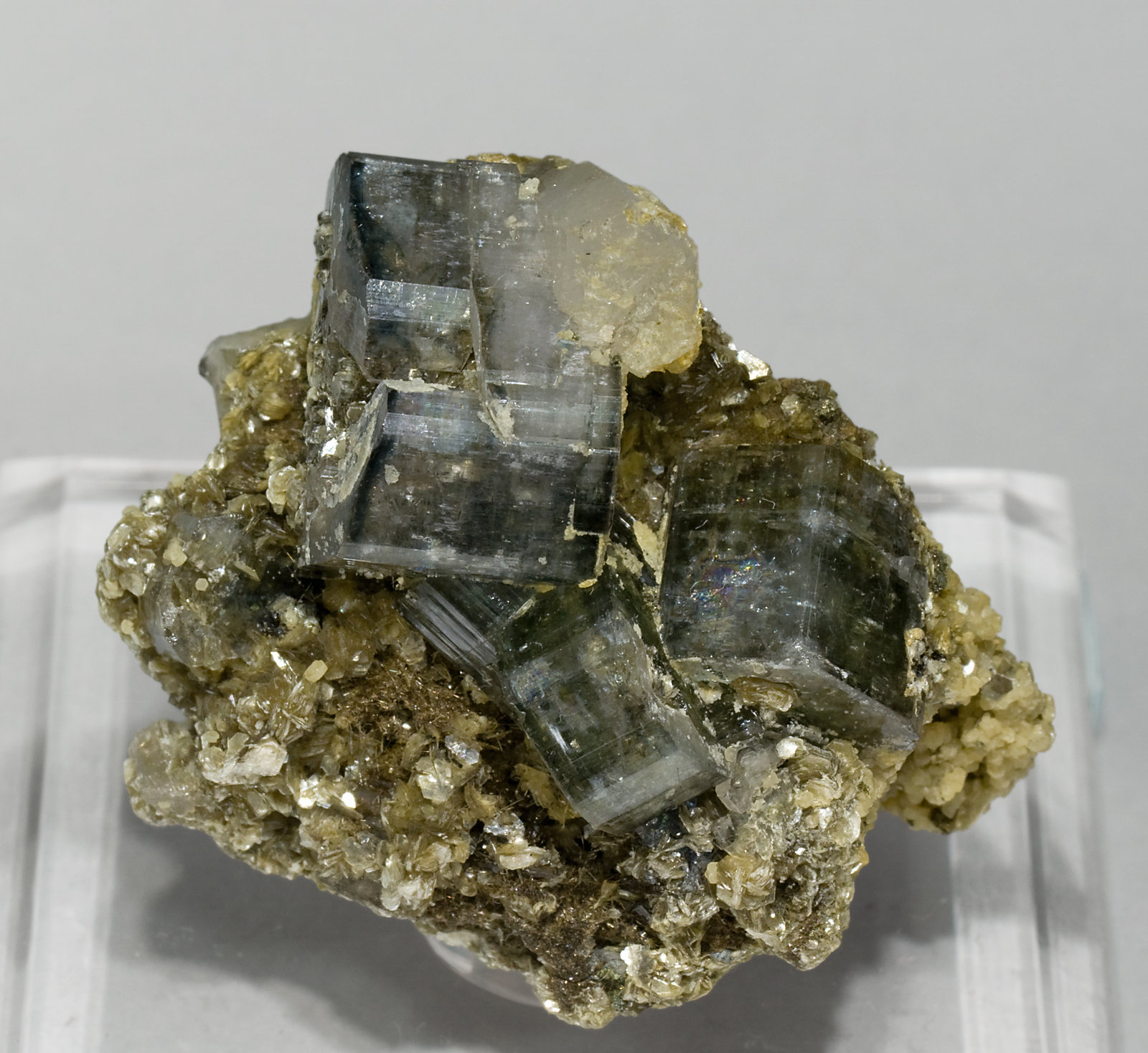 specimens/s_imagesV1/Fluorapatite-RF16V1.jpg