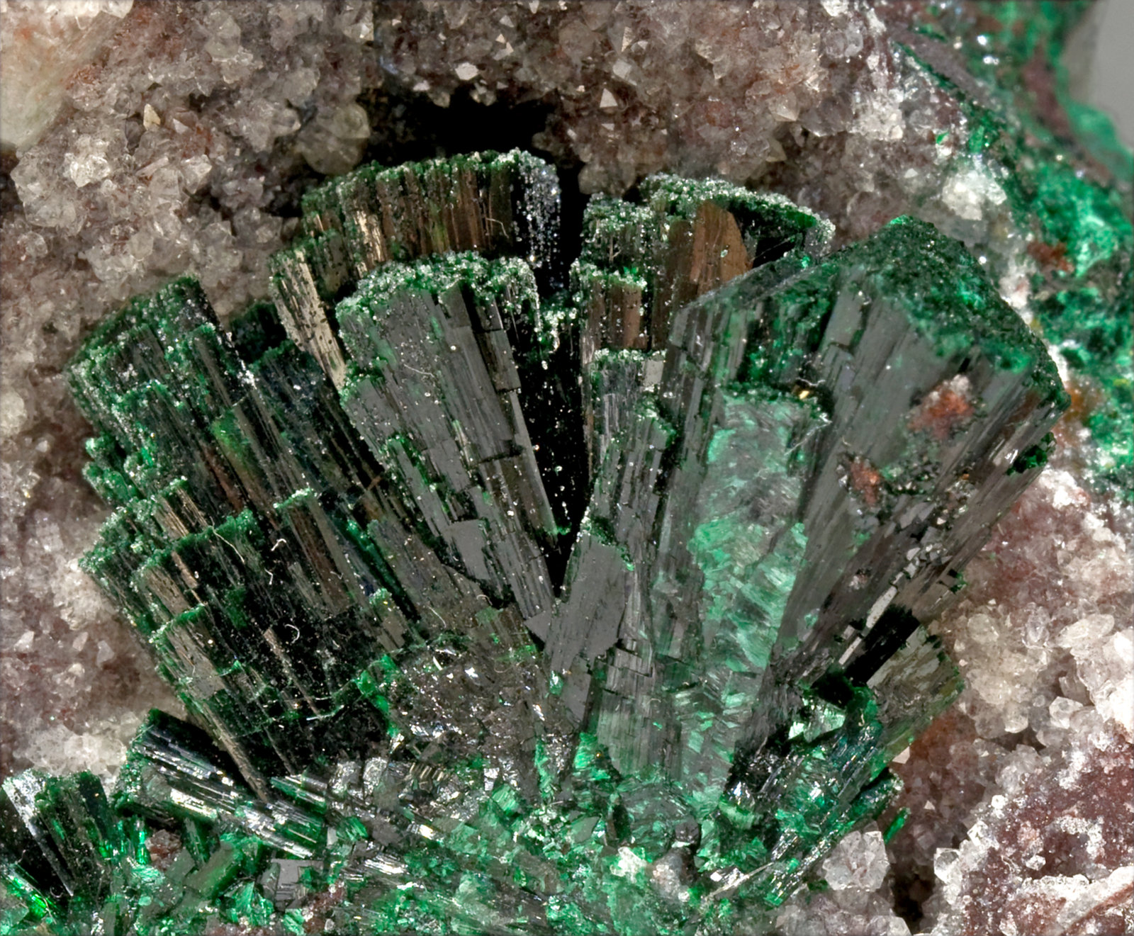 specimens/s_imagesV1/Malachite-TG14V1d.jpg