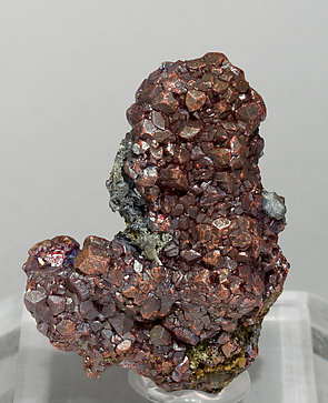 Proustite on Acanthite. 