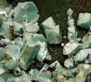 Adamite (variety cuprian) with Olivenite. 