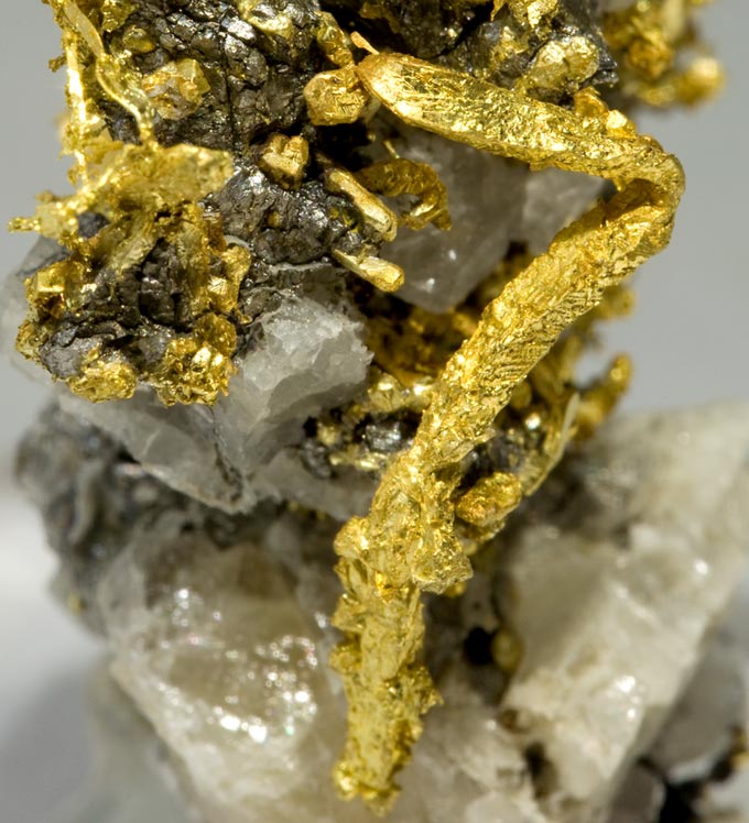 specimens/s_imagesV2/Gold-TE17V2d.jpg