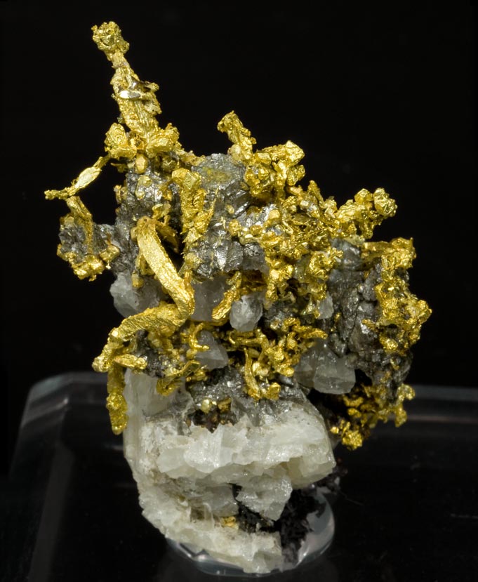 specimens/s_imagesV2/Gold-TE17V2f.jpg