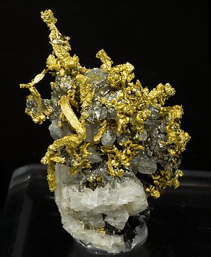 Gold with Quartz.