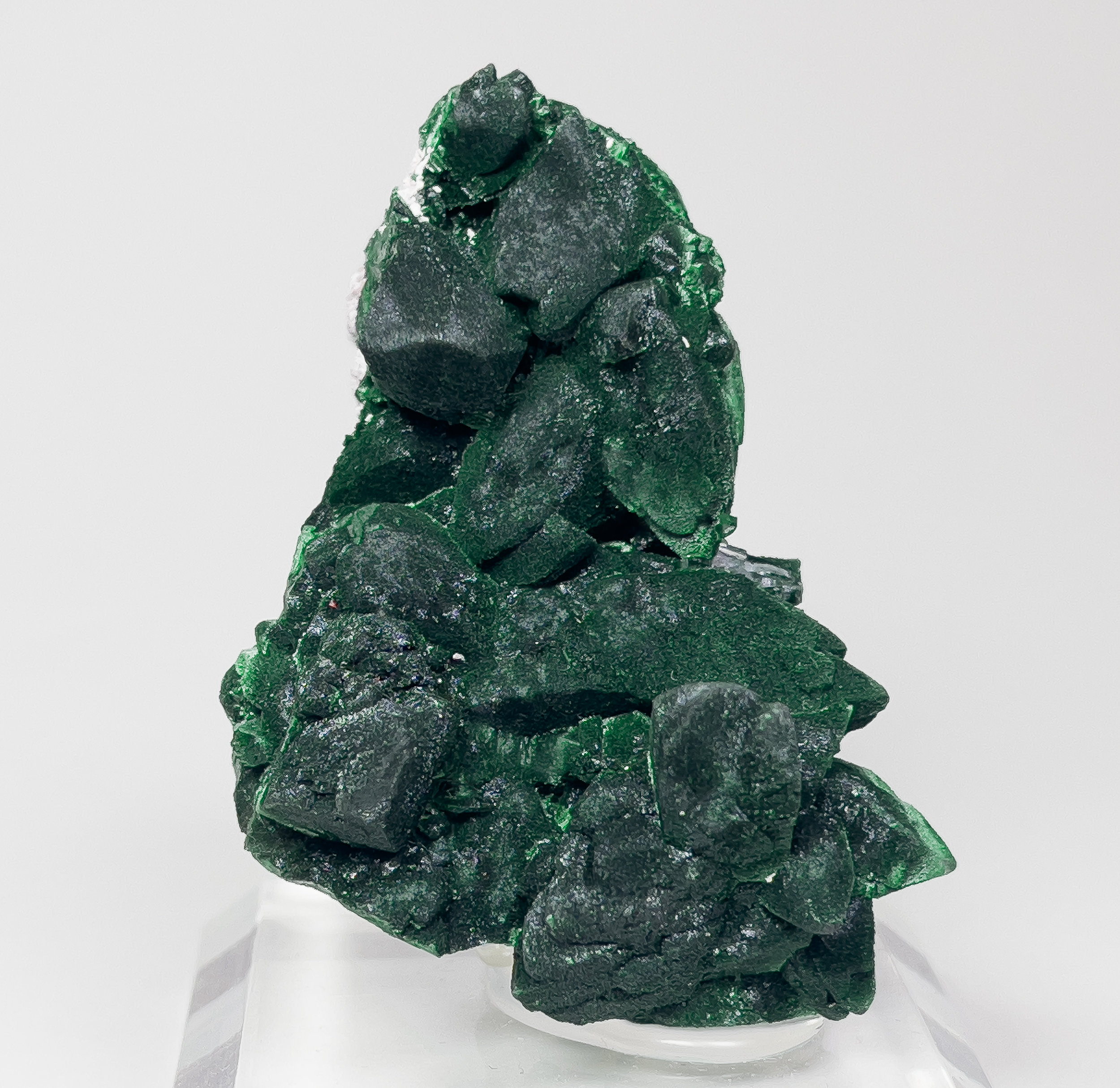 specimens/s_imagesV2/Malachite-TQ17V2f_IPHONE.jpg