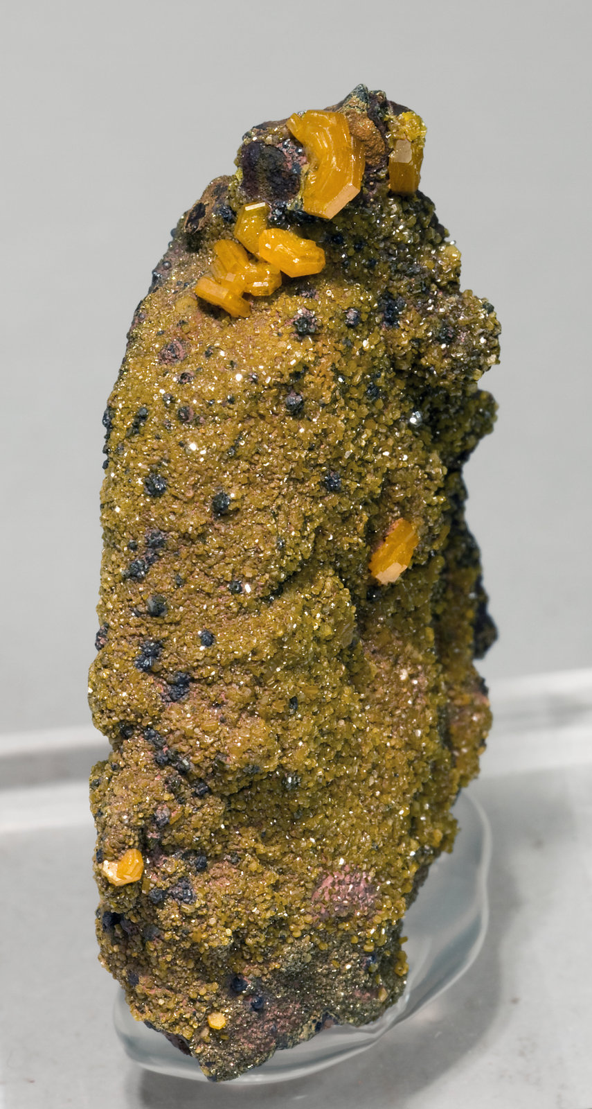 specimens/s_imagesV3/Mimetite-NB12V3f.jpg